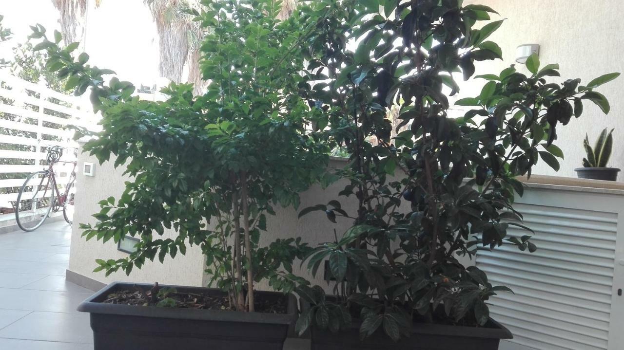 Appartamento La Casa Bianca Marina di Ragusa Esterno foto